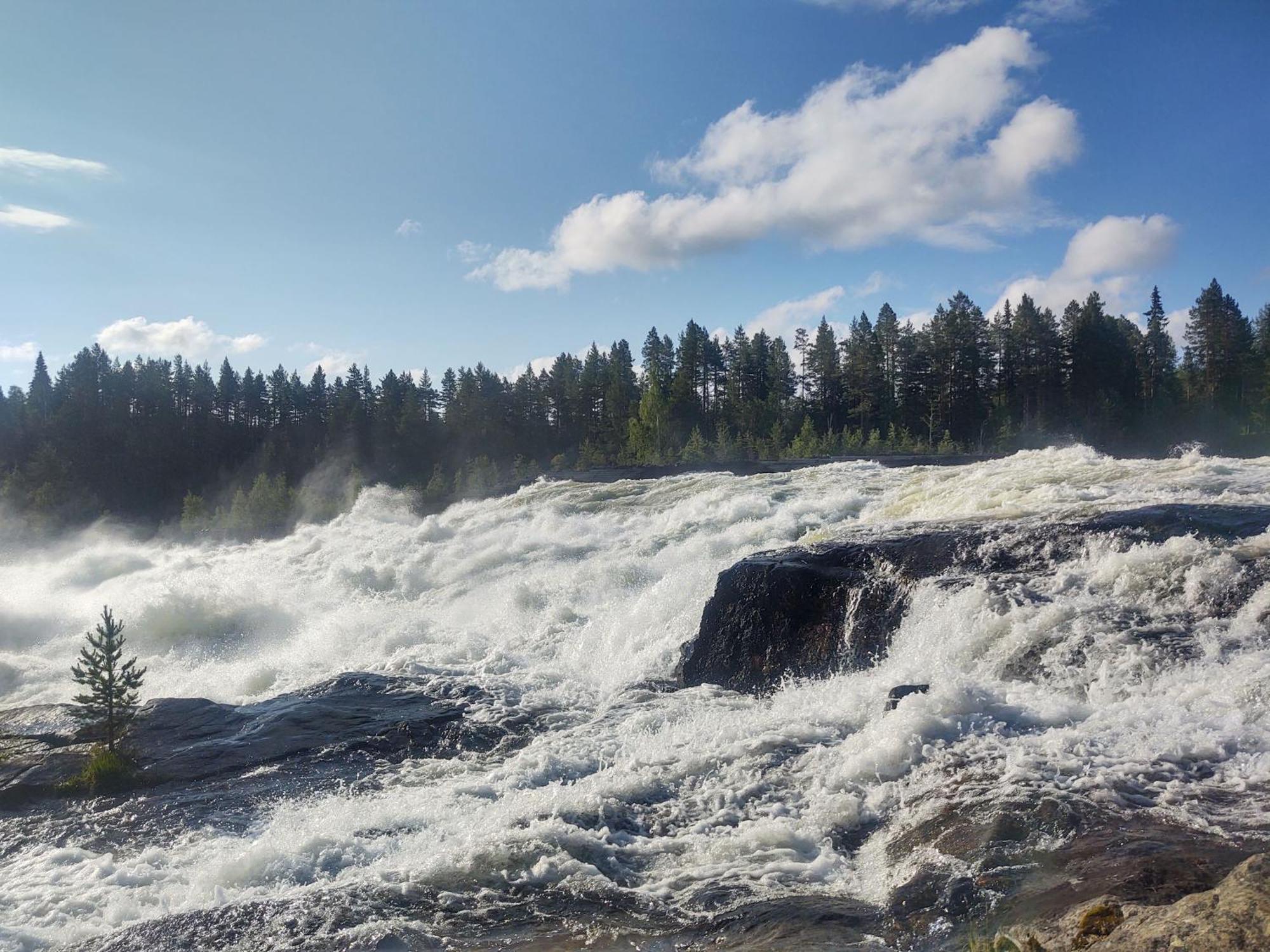Selholmens Camping Älvsbyn Esterno foto