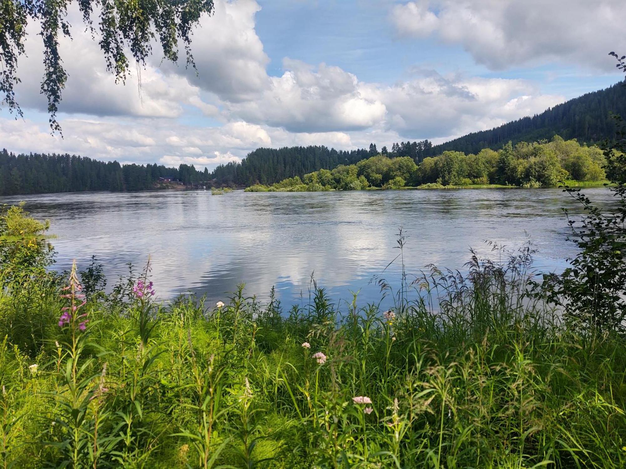 Selholmens Camping Älvsbyn Esterno foto